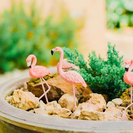 ที่พักสงขลา Homy Garden Songkhla Ban Khao Rup Chang Ngoại thất bức ảnh